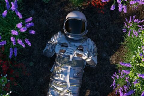 718306466_optimized_1.jpeg 718306466_optimized_1.jpeg